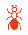 ant