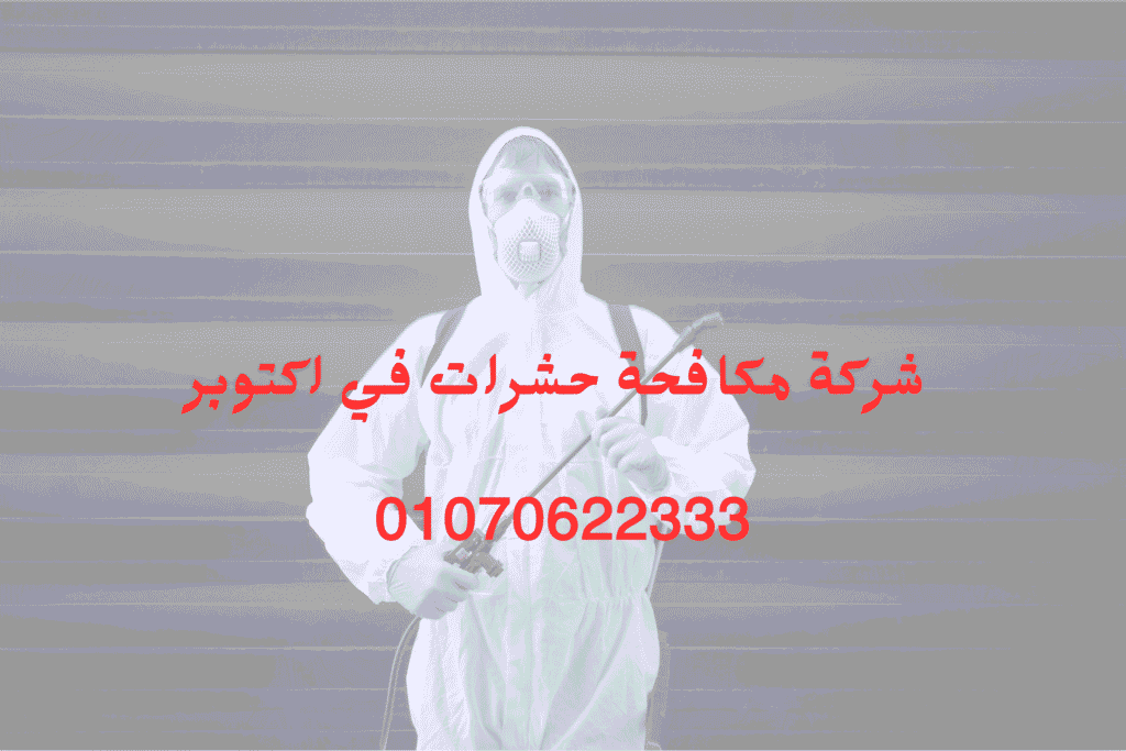 شركة مكافحة حشرات في اكتوبر