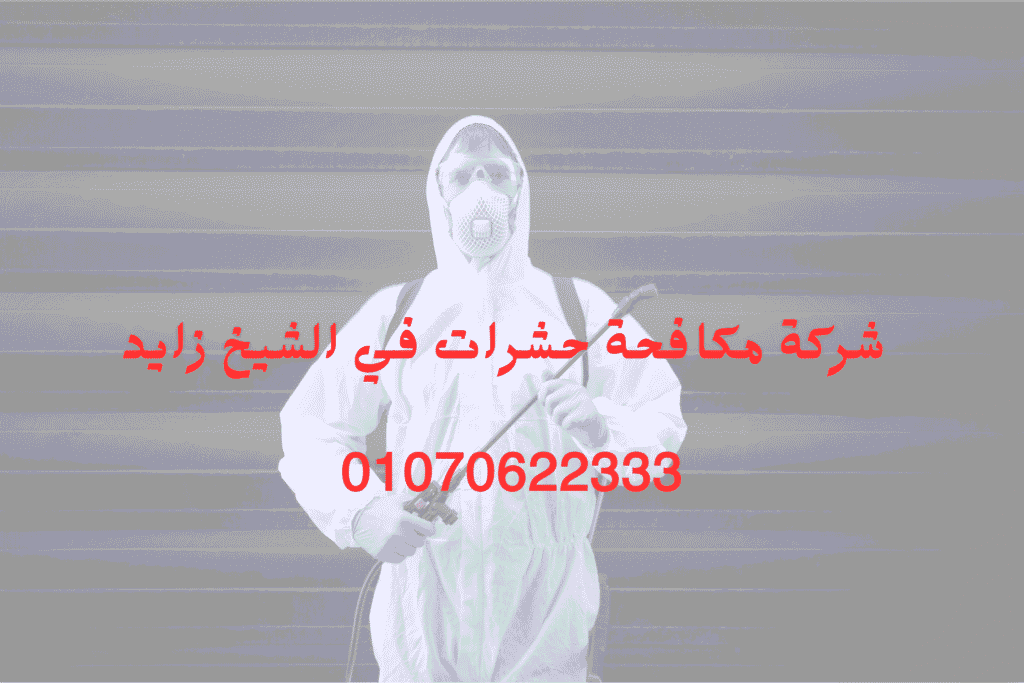 شركة مكافحة حشرات في الشيخ زايد