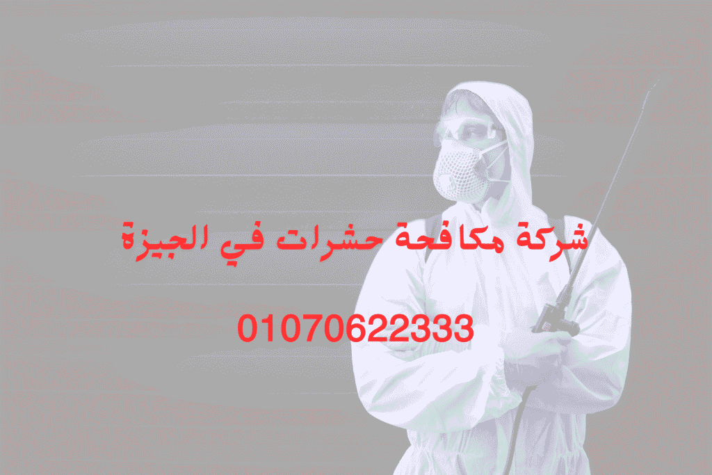 شركة مكافحة حشرات في الجيزة