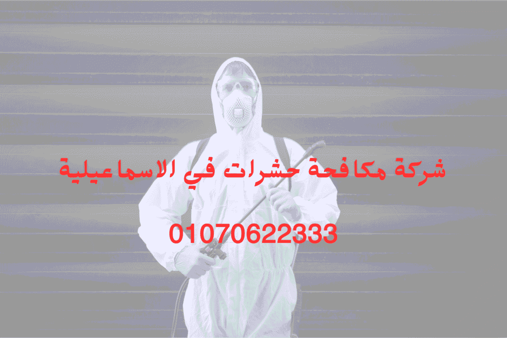 شركة مكافحة حشرات في الإسماعيلية