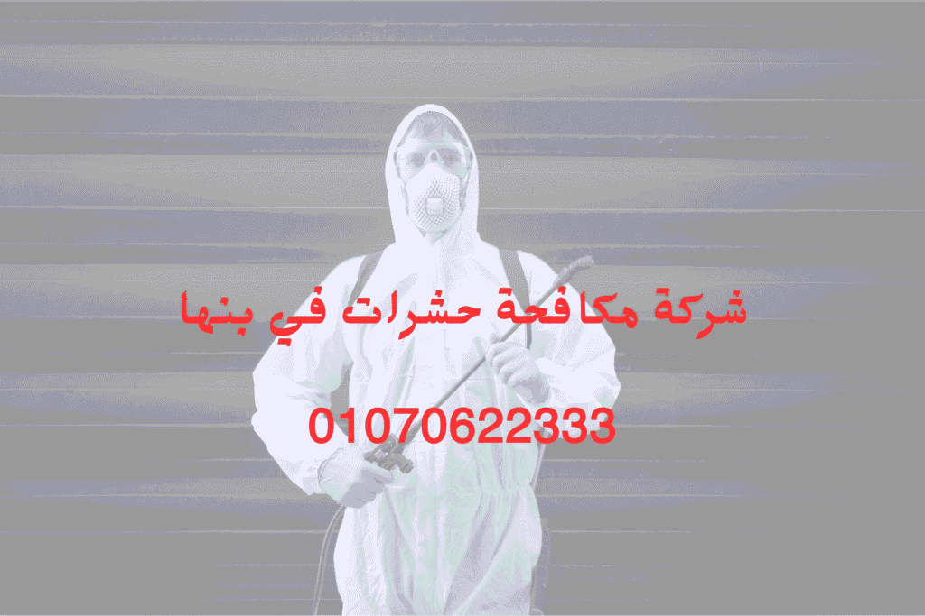 شركة مكافحة حشرات في بنها