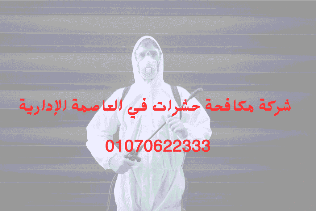 شركة مكافحة حشرات في العاصمة الإدارية