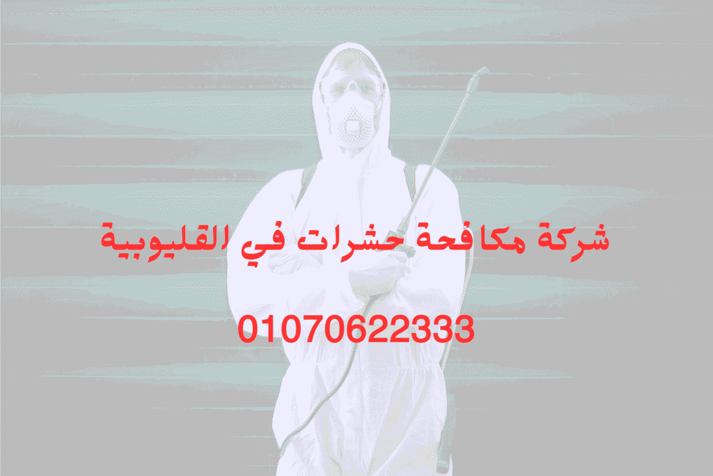 شركة مكافحة حشرات في القليوبية