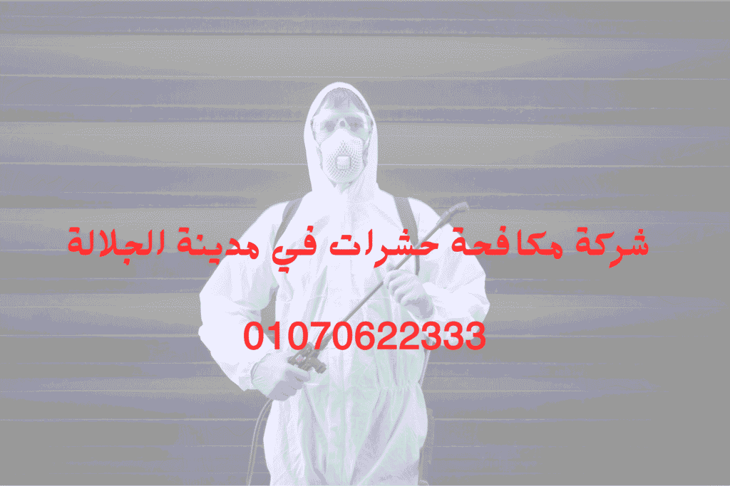 شركة مكافحة حشرات في مدينة الجلالة