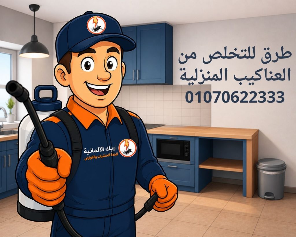للتخلص من العناكيب المنزلية